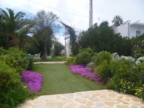 Flat in Santa Eularia - Vacation, holiday rental ad # 10619 Picture #6