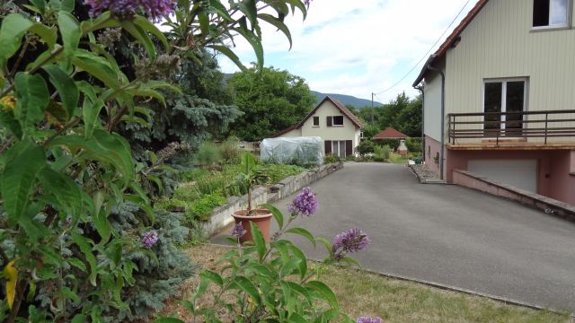 Gite in Niederhaslach - Vacation, holiday rental ad # 1217 Picture #8