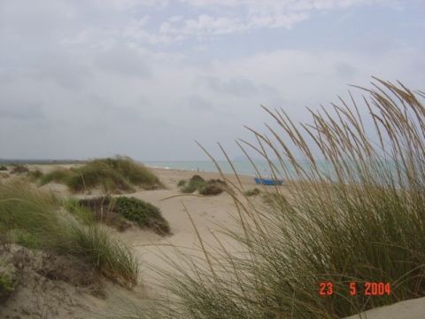 Huis in Saidia  plage - Vakantie verhuur advertentie no 12681 Foto no 15