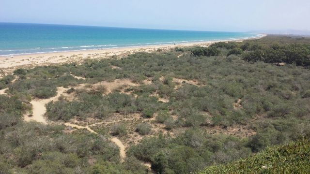 Maison  Saidia  plage - Location vacances, location saisonnire n12681 Photo n18