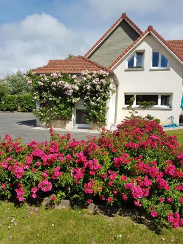 Bed and Breakfast in Berck sur mer - Vacation, holiday rental ad # 3538 Picture #0