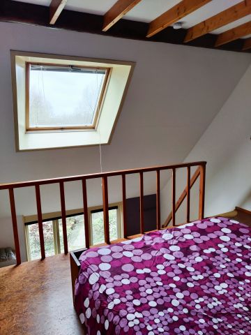 Farm in Leeuwarden - Vacation, holiday rental ad # 3959 Picture #7