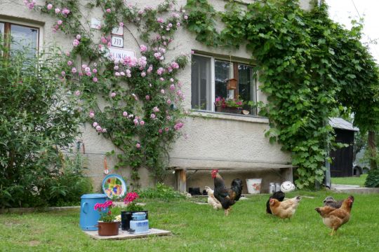 Huis in Brezno - Vakantie verhuur advertentie no 525 Foto no 9