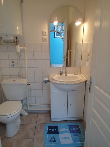 Gite in Vannes - Vacation, holiday rental ad # 5536 Picture #5