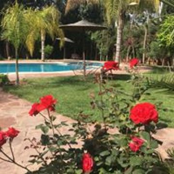House in Marrakech - Vacation, holiday rental ad # 6802 Picture #3