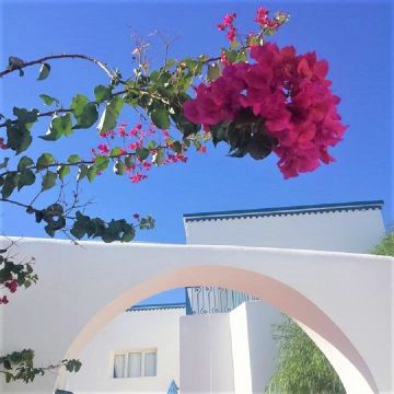 House in Djerba - Vacation, holiday rental ad # 9553 Picture #10