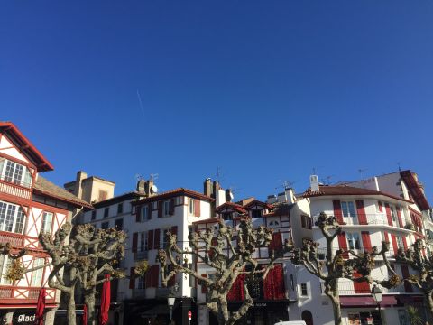 Flat in Saint jean de luz - Vacation, holiday rental ad # 22379 Picture #16