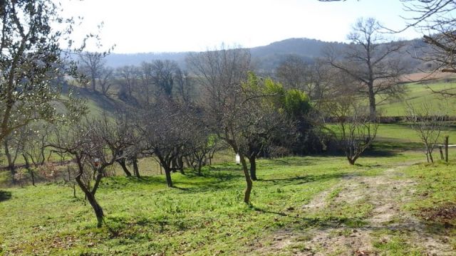 Farm in Escueillens - Vacation, holiday rental ad # 24568 Picture #12
