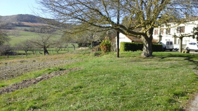 Farm in Escueillens - Vacation, holiday rental ad # 24568 Picture #19