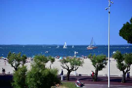 Studio in Arcachon - Vacation, holiday rental ad # 26779 Picture #0