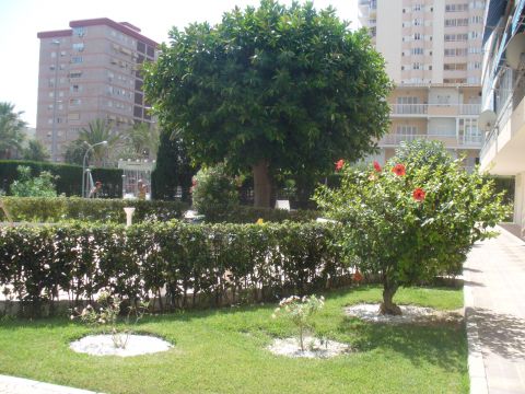 Appartement in Alicante - Vakantie verhuur advertentie no 28337 Foto no 8