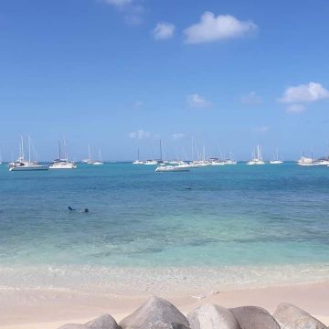 Studio in Saint Martin - Vacation, holiday rental ad # 37871 Picture #16