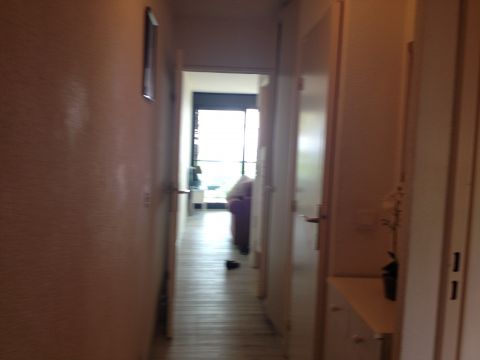 Gite in Cannes - Vacation, holiday rental ad # 39136 Picture #12
