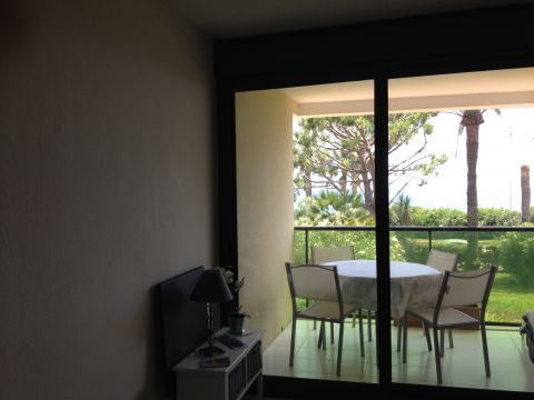 Gite in Cannes - Vacation, holiday rental ad # 39136 Picture #16