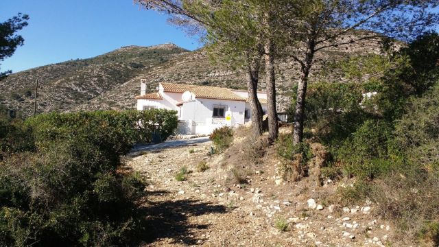House in Jalon/Xalo - Vacation, holiday rental ad # 40951 Picture #17