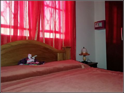 House in Pinar del Rio (chambre 2 climatise) - Vacation, holiday rental ad # 42445 Picture #11