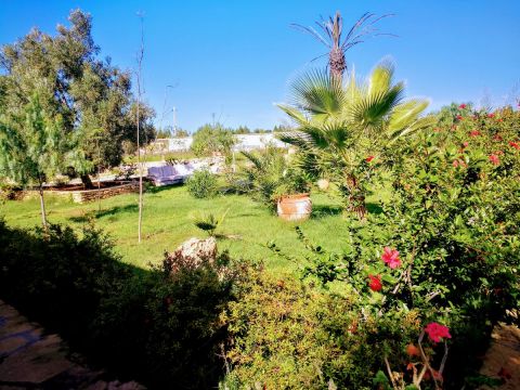 Talo (miss) Essaouira - Ilmoituksen yksityiskohdat:44922 Kuva nro18