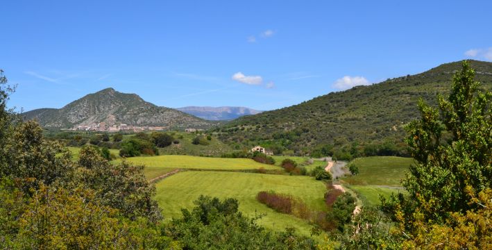 Gite in Tartareu - Vacation, holiday rental ad # 47088 Picture #15