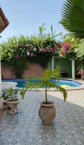 House in Mbour -mballing - Vacation, holiday rental ad # 47181 Picture #15