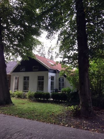 House in Oostwold - Vacation, holiday rental ad # 50441 Picture #0
