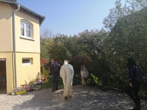 Casa rural en Illfurth - Detalles sobre el alquiler n54592 Foto n13