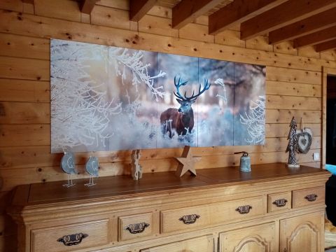 Chalet in Fraize - Vacation, holiday rental ad # 58097 Picture #7