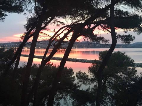 Flat in Martigues  - Vacation, holiday rental ad # 60636 Picture #2