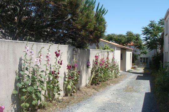 House in Chatelaillon/plage - Vacation, holiday rental ad # 62629 Picture #4