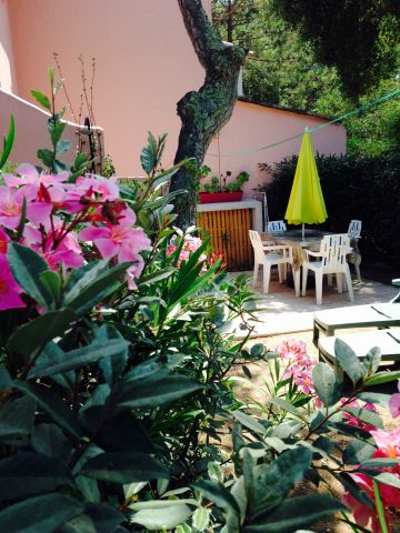 Appartement  Porto Vecchio  - Location vacances, location saisonnire n62667 Photo n0