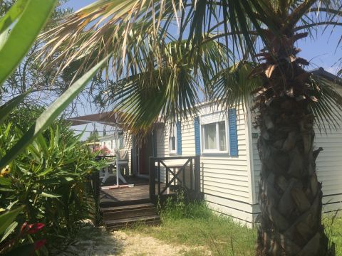 Mobile home in Argeles sur mer - Vacation, holiday rental ad # 62670 Picture #0