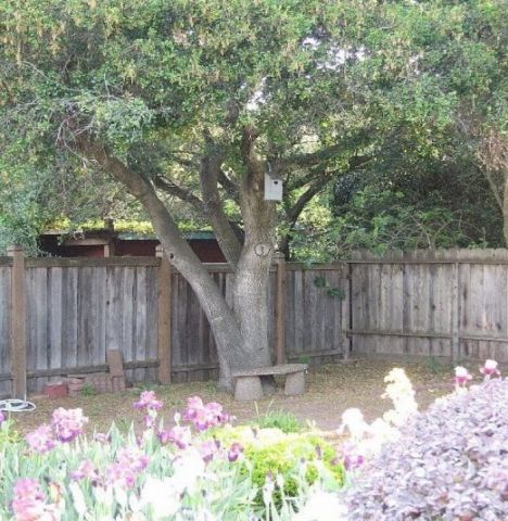  in Napa - Vacation, holiday rental ad # 62795 Picture #11