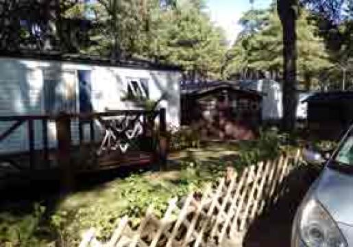 Mobile home in Quend plage - Vacation, holiday rental ad # 63082 Picture #1