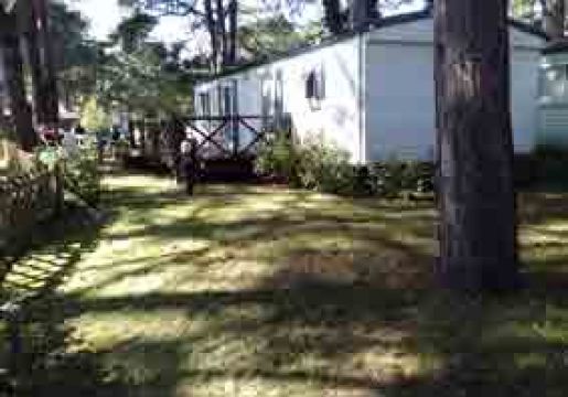 Mobile home in Quend plage - Vacation, holiday rental ad # 63082 Picture #0