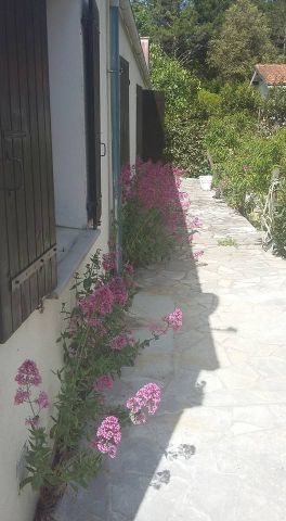 House in Saint georges d'Olron - Vacation, holiday rental ad # 63110 Picture #6