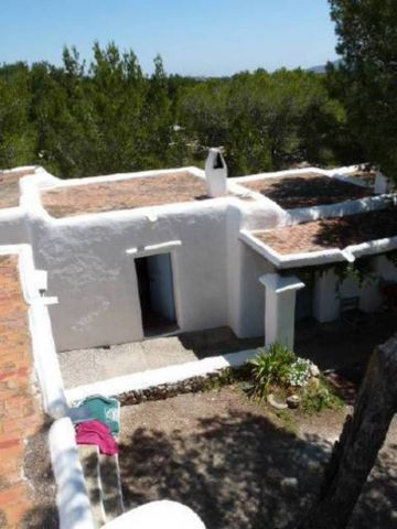 House in Ibiza - Vacation, holiday rental ad # 63155 Picture #7