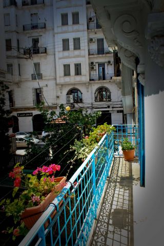 Flat in Alger - Vacation, holiday rental ad # 63636 Picture #1