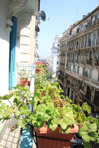 Flat in Alger - Vacation, holiday rental ad # 63636 Picture #2