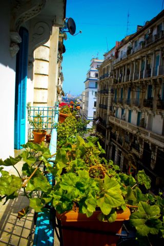 Flat in Alger - Vacation, holiday rental ad # 63636 Picture #3