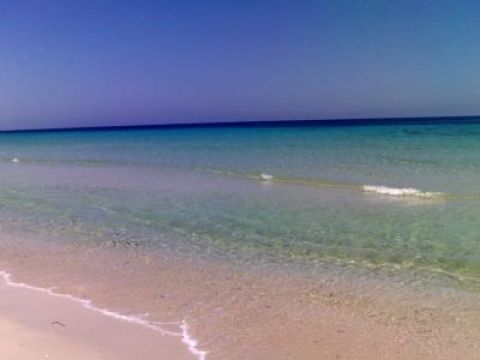House in Monastir - Vacation, holiday rental ad # 63697 Picture #8