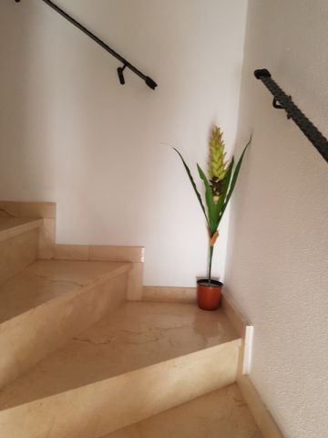 House in La Mata - Vacation, holiday rental ad # 64068 Picture #14