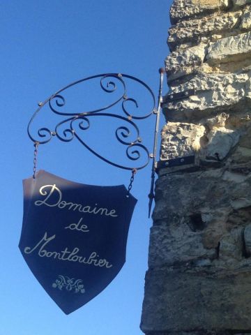 Gite in Villeneuve de Berg - Vakantie verhuur advertentie no 64224 Foto no 16