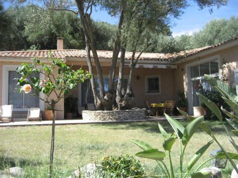 House in Porto vecchio - Vacation, holiday rental ad # 64402 Picture #0