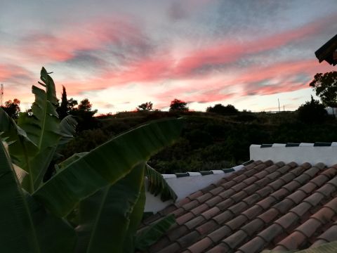 Gite in Frigiliana - Vacation, holiday rental ad # 64742 Picture #15