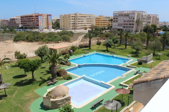 Flat in Torrevieja - Vacation, holiday rental ad # 65373 Picture #13