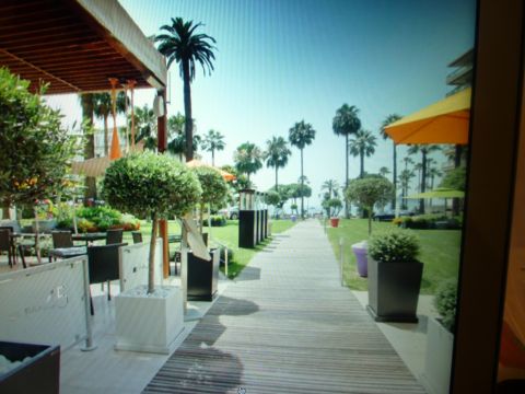 Appartement  Cannes - Location vacances, location saisonnire n65416 Photo n2