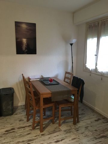 Studio in Cannes - Vacation, holiday rental ad # 65445 Picture #3