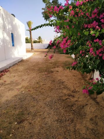 House in Midoun - Vacation, holiday rental ad # 65829 Picture #4