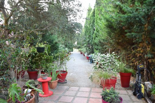 Farm in Carcassonne - Vacation, holiday rental ad # 66067 Picture #12