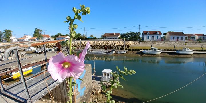 Chalet in St pierre d'oleron - Vacation, holiday rental ad # 66498 Picture #14