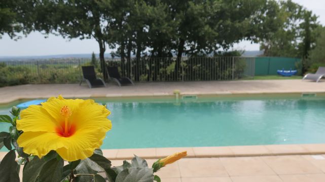 Gite in Montignargues - Vacation, holiday rental ad # 66834 Picture #5